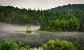 Picture by Alain Audet from Pixabay