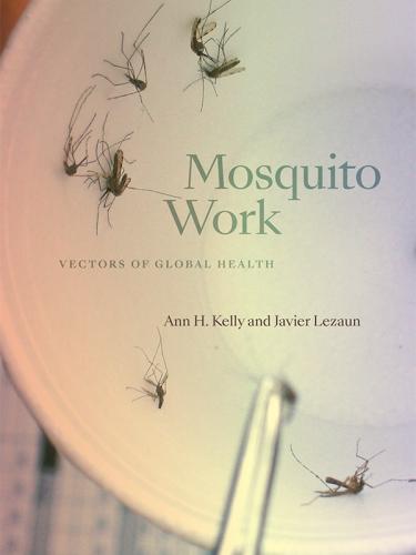 Mosquito Work