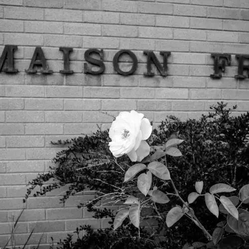 mfo garden party 2026