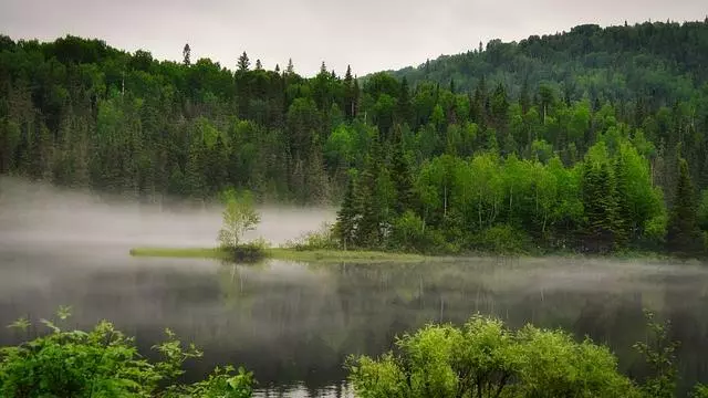 landscape 7280867