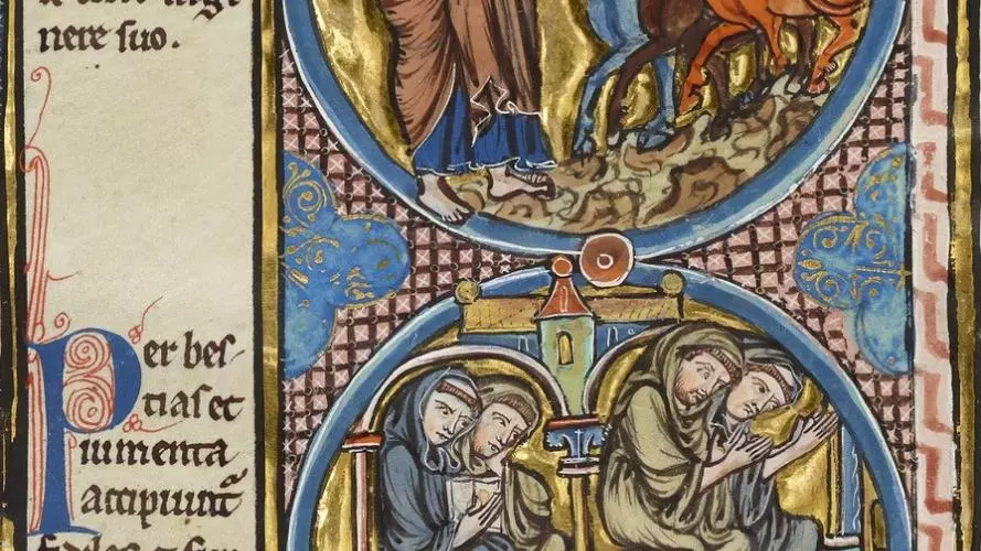 oxford bodleian library bodley 270b fol 