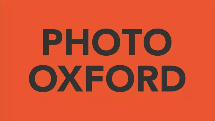 photo ox