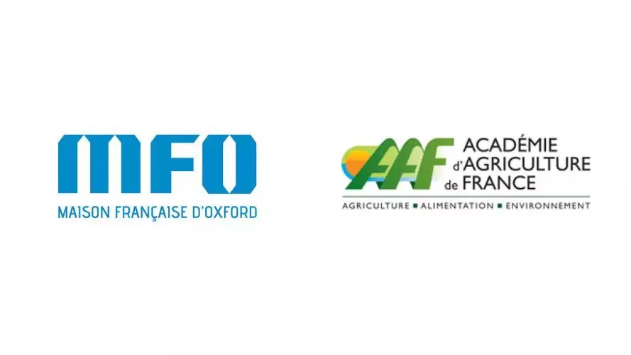 visuel aaf mfo
