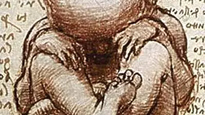 views of a foetus in the womb detail