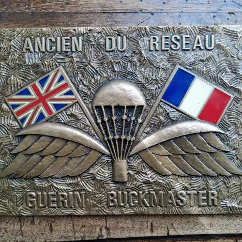 plaque