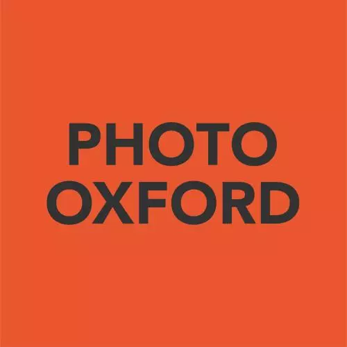 photo ox