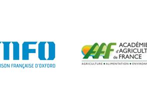 visuel aaf mfo